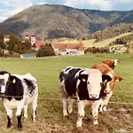 Zirbitz Huette Mit Sauna Und Kamin Holiday home Sankt Lambrecht