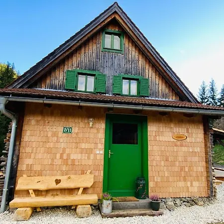 Zirbitz Huette Mit Sauna Und Kamin בית נופש