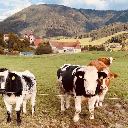 Zirbitz Huette Mit Sauna Und Kamin Tatil Evi Sankt Lambrecht