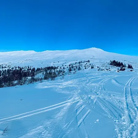 Zirbitz Huette Mit Sauna Und Kamin * Sankt Lambrecht