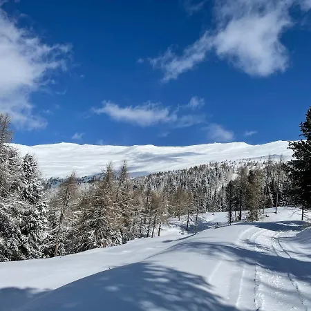 Zirbitz Huette Mit Sauna Und Kamin Tatil Evi *