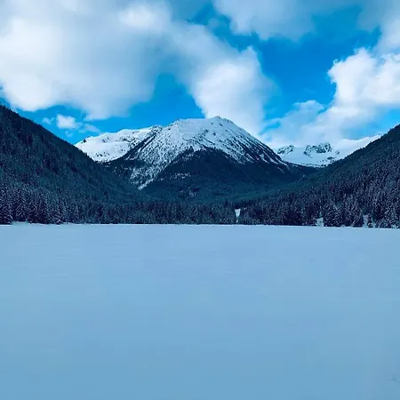 Tatil Evi Zirbitz Huette Mit Sauna Und Kamin