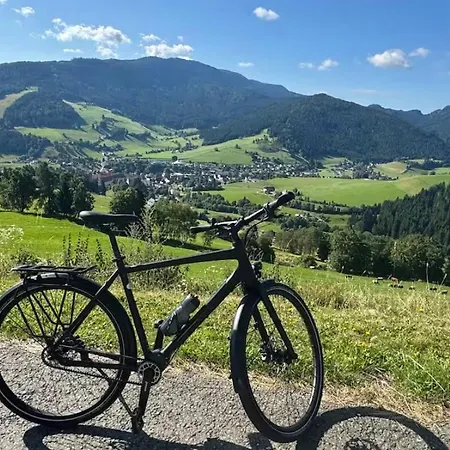 Zirbitz Huette Am Waldrand - Sauna, Kamin, Feuerstelle, Ausblick * سانكت لامبريشت