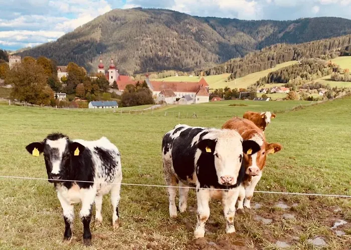 Zirbitz Huette Mit Sauna Und Kamin 度假居 圣兰布雷希特