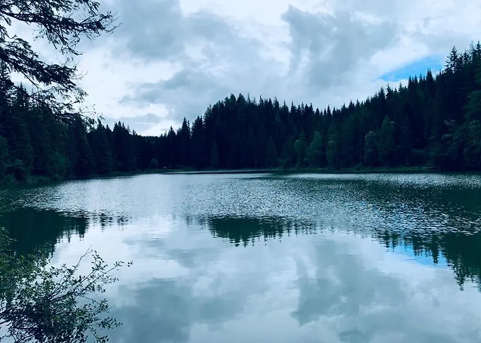 Zirbitz Huette Mit Sauna Und Kamin 度假居