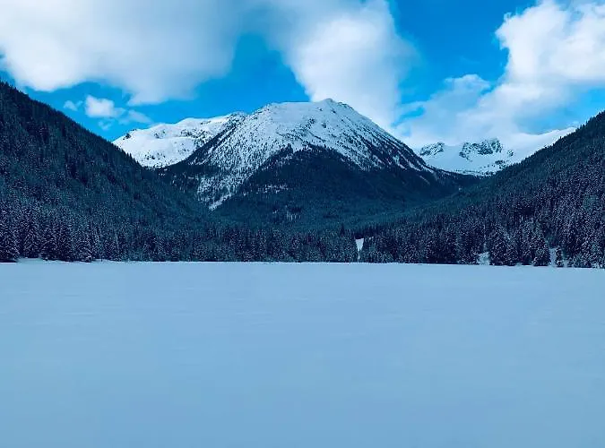 度假居 Zirbitz Huette Mit Sauna Und Kamin